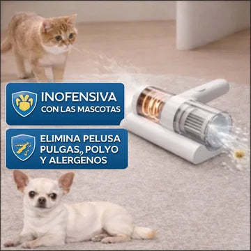 ¡Invierte en Salud! Aspirador 8000Pa. Antiácaros Luz UV-C.